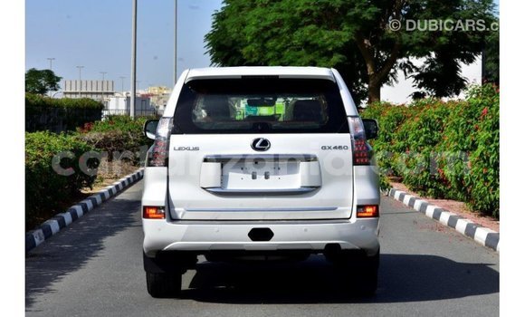 Buy Import Lexus GX White Car in Import - Dubai in Arusha Buy Import Lexus GX White Car in Import - Dubai in Arusha