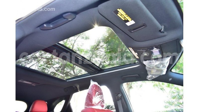 Big with watermark lexus rx 350 arusha import dubai 7869