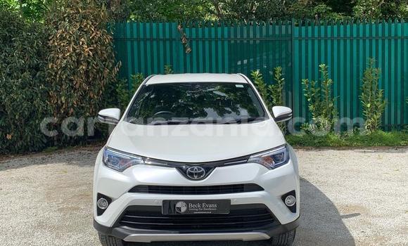 Buy Used Toyota RAV4 White Car in Arusha in Arusha Buy Used Toyota RAV4 White Car in Arusha in Arusha