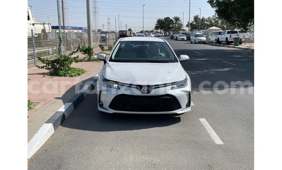 Nunua Imported Toyota Corolla Nyeupe Gari ndani ya Import - Dubai nchini Arusha Nunua Imported Toyota Corolla Nyeupe Gari ndani ya Import - Dubai nchini Arusha
