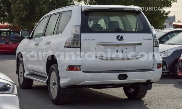 Buy Import Lexus GX White Car in Import - Dubai in Arusha Buy Import Lexus GX White Car in Import - Dubai in Arusha