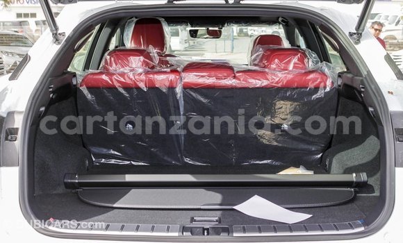Nunua Imported Lexus RX 300 Nyeupe Gari ndani ya Import - Dubai nchini Arusha Nunua Imported Lexus RX 300 Nyeupe Gari ndani ya Import - Dubai nchini Arusha