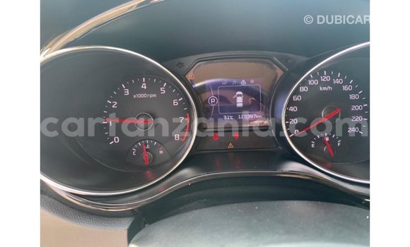 Buy Import Kia Carnival White Car in Import - Dubai in Arusha Buy Import Kia Carnival White Car in Import - Dubai in Arusha