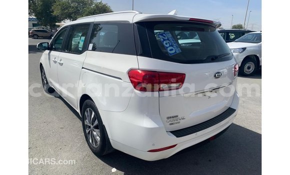Buy Import Kia Carnival White Car in Import - Dubai in Arusha Buy Import Kia Carnival White Car in Import - Dubai in Arusha