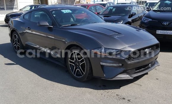 Buy Import Ford Mustang Other Car in Import - Dubai in Arusha Buy Import Ford Mustang Other Car in Import - Dubai in Arusha