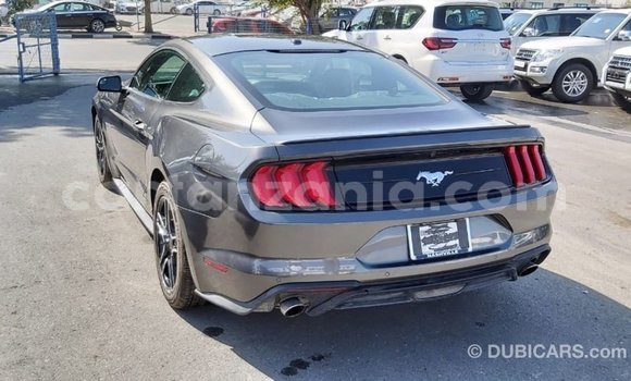 Buy Import Ford Mustang Other Car in Import - Dubai in Arusha Buy Import Ford Mustang Other Car in Import - Dubai in Arusha