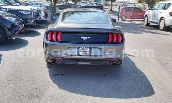 Buy Import Ford Mustang Other Car in Import - Dubai in Arusha Buy Import Ford Mustang Other Car in Import - Dubai in Arusha