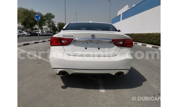 Buy Import Nissan Maxima White Car in Import - Dubai in Arusha Buy Import Nissan Maxima White Car in Import - Dubai in Arusha