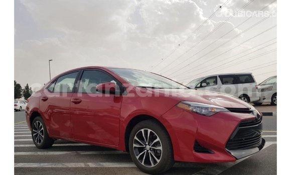 Buy Import Toyota Corolla Red Car in Import - Dubai in Arusha Buy Import Toyota Corolla Red Car in Import - Dubai in Arusha