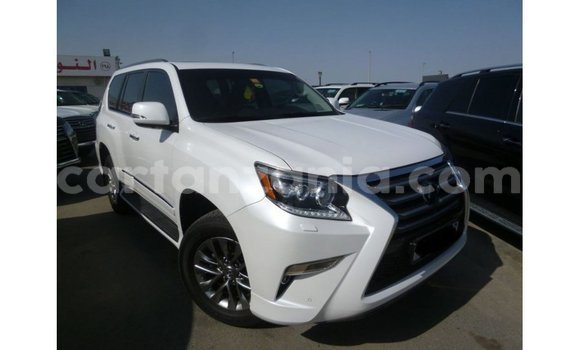 Buy Import Lexus GX White Car in Import - Dubai in Arusha Buy Import Lexus GX White Car in Import - Dubai in Arusha