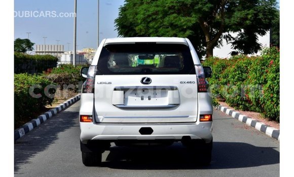 Buy Import Lexus GX White Car in Import - Dubai in Arusha Buy Import Lexus GX White Car in Import - Dubai in Arusha