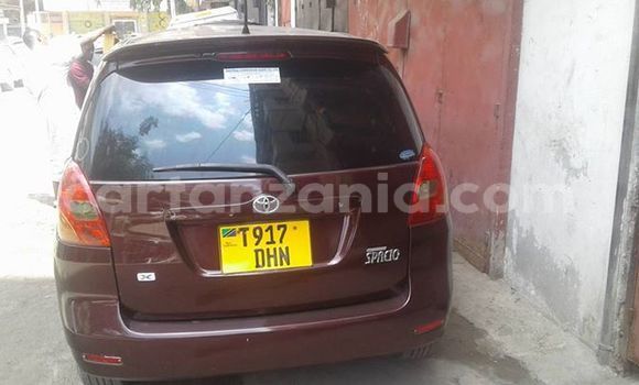 Buy Used Toyota Spacio Other Car in Karatu in Arusha Buy Used Toyota Spacio Other Car in Karatu in Arusha