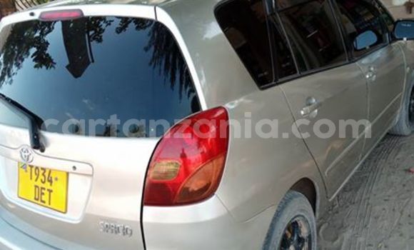 Buy Used Toyota Spacio Silver Car in Karatu in Arusha Buy Used Toyota Spacio Silver Car in Karatu in Arusha