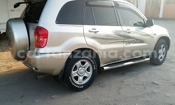 Buy Used Toyota RAV4 Silver Car in Karatu in Arusha Buy Used Toyota RAV4 Silver Car in Karatu in Arusha