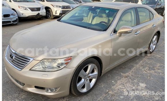Buy Import Lexus LS Other Car in Import - Dubai in Arusha Buy Import Lexus LS Other Car in Import - Dubai in Arusha