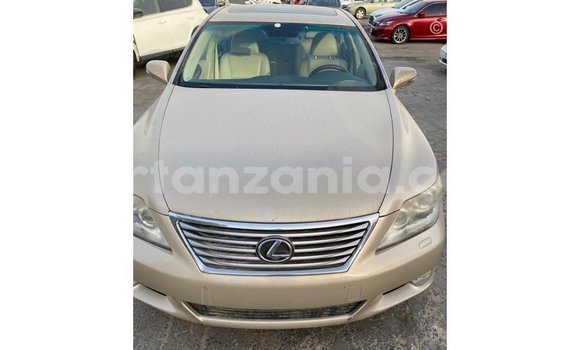 Buy Import Lexus LS Other Car in Import - Dubai in Arusha Buy Import Lexus LS Other Car in Import - Dubai in Arusha