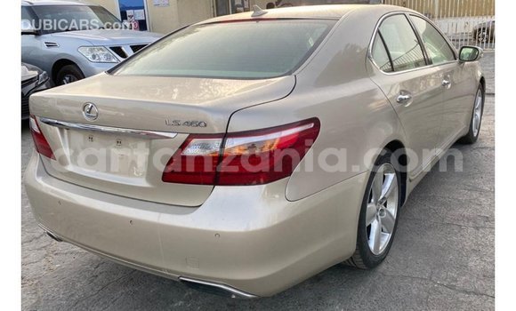 Buy Import Lexus LS Other Car in Import - Dubai in Arusha Buy Import Lexus LS Other Car in Import - Dubai in Arusha