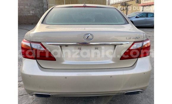 Buy Import Lexus LS Other Car in Import - Dubai in Arusha Buy Import Lexus LS Other Car in Import - Dubai in Arusha