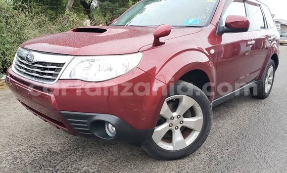 Buy Used Subaru Forester Red Car in Dar es Salaam in Dar es Salaam Buy Used Subaru Forester Red Car in Dar es Salaam in Dar es Salaam