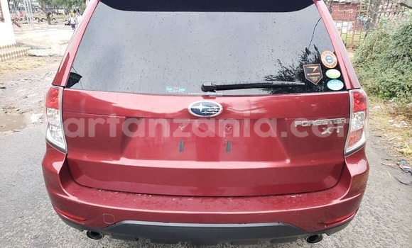 Buy Used Subaru Forester Red Car in Dar es Salaam in Dar es Salaam Buy Used Subaru Forester Red Car in Dar es Salaam in Dar es Salaam