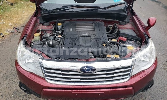 Buy Used Subaru Forester Red Car in Dar es Salaam in Dar es Salaam Buy Used Subaru Forester Red Car in Dar es Salaam in Dar es Salaam