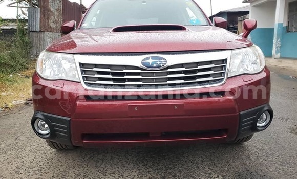 Buy Used Subaru Forester Red Car in Dar es Salaam in Dar es Salaam Buy Used Subaru Forester Red Car in Dar es Salaam in Dar es Salaam