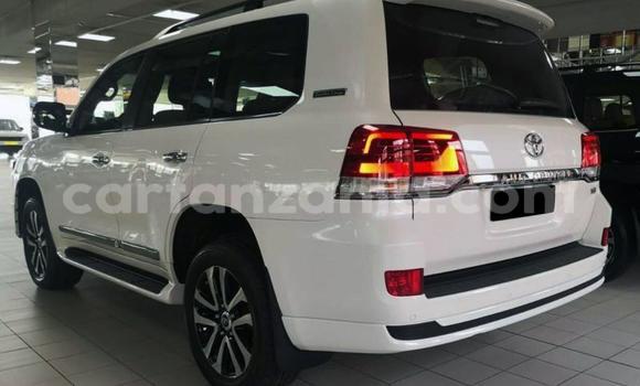 Buy Used Toyota Land Cruiser White Car in Arusha in Arusha Buy Used Toyota Land Cruiser White Car in Arusha in Arusha