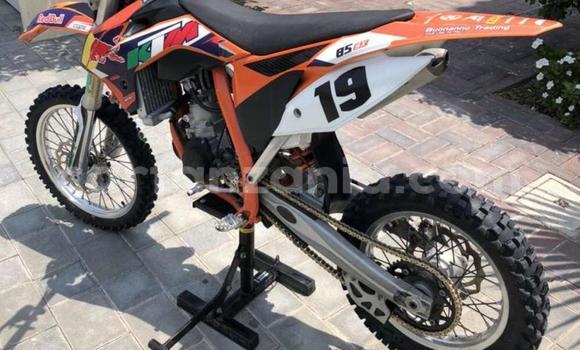 Buy Used KTM 85 SX 19/16 Red Bike in Arusha in Arusha