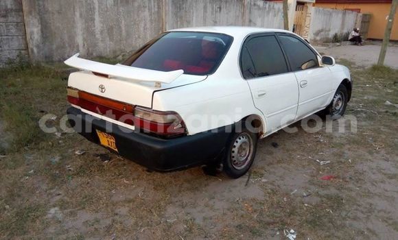Nunua Ilio tumika Toyota Corolla Nyeupe Gari ndani ya Dar es Salaam nchini Dar es Salaam Nunua Ilio tumika Toyota Corolla Nyeupe Gari ndani ya Dar es Salaam nchini Dar es Salaam