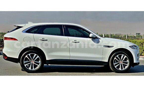 Buy Import Jaguar F-Pace White Car in Import - Dubai in Arusha Buy Import Jaguar F-Pace White Car in Import - Dubai in Arusha