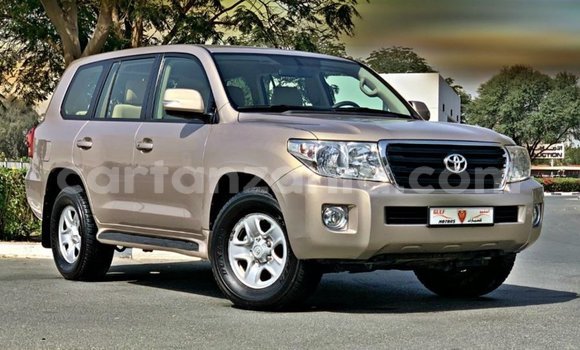 Buy Import Toyota Land Cruiser Other Car in Import - Dubai in Arusha