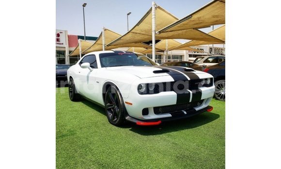 Buy Import Dodge Challenger White Car in Import - Dubai in Arusha