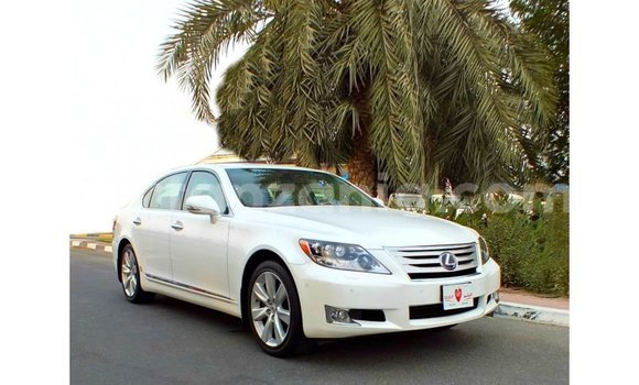 Buy Import Lexus LS White Car in Import - Dubai in Arusha