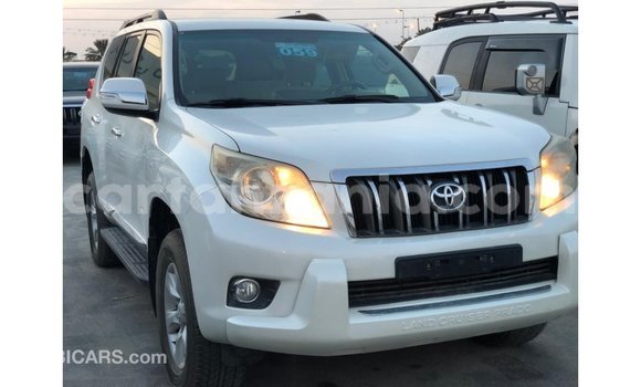 Buy Import Toyota Prado White Car in Import - Dubai in Arusha Buy Import Toyota Prado White Car in Import - Dubai in Arusha