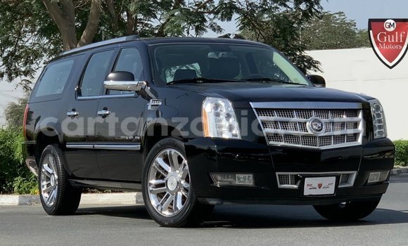 Buy Import Cadillac Escalade Black Car in Import - Dubai in Arusha