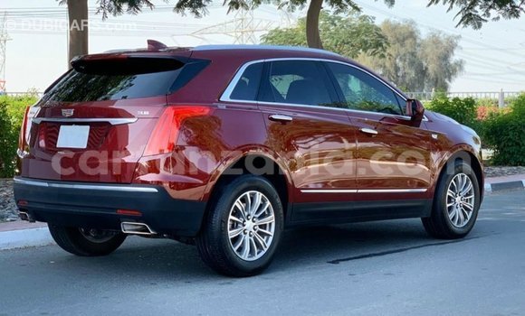 Buy Import Cadillac XT5 Red Car in Import - Dubai in Arusha Buy Import Cadillac XT5 Red Car in Import - Dubai in Arusha