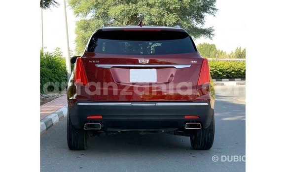 Buy Import Cadillac XT5 Red Car in Import - Dubai in Arusha Buy Import Cadillac XT5 Red Car in Import - Dubai in Arusha