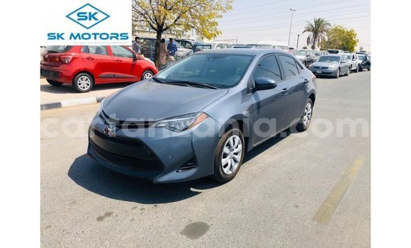 Buy Import Toyota Corolla Other Car in Import - Dubai in Arusha