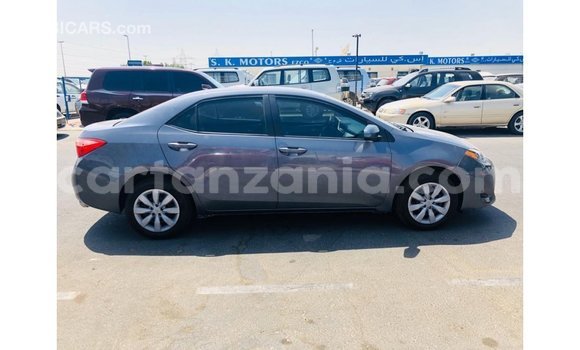 Nunua Imported Toyota Corolla Nyingine Gari ndani ya Import - Dubai nchini Arusha Nunua Imported Toyota Corolla Nyingine Gari ndani ya Import - Dubai nchini Arusha