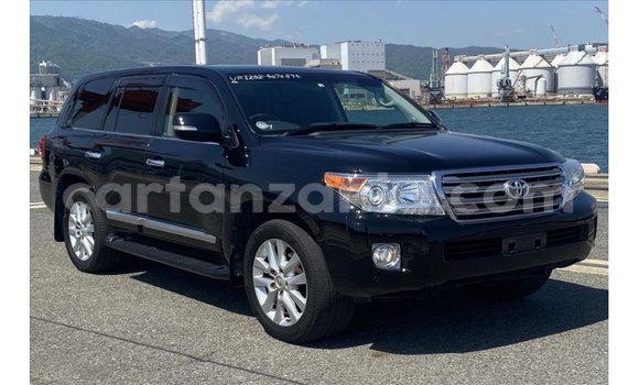 Buy Import Toyota Land Cruiser Black Car in Import - Dubai in Arusha