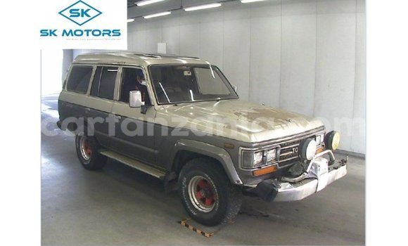 Buy Import Toyota Land Cruiser Other Car in Import - Dubai in Arusha